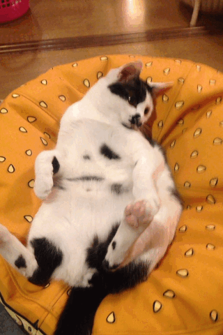 130603-01.gif