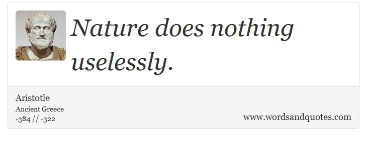 quotes-nature-does-nothing-uselessly-aristotle-1466.jpg