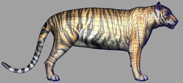 making_of_tiger_zoo_08.jpg