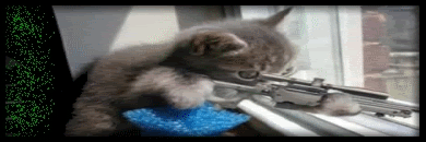 Sig005.gif