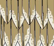 FeatherStep2.jpg