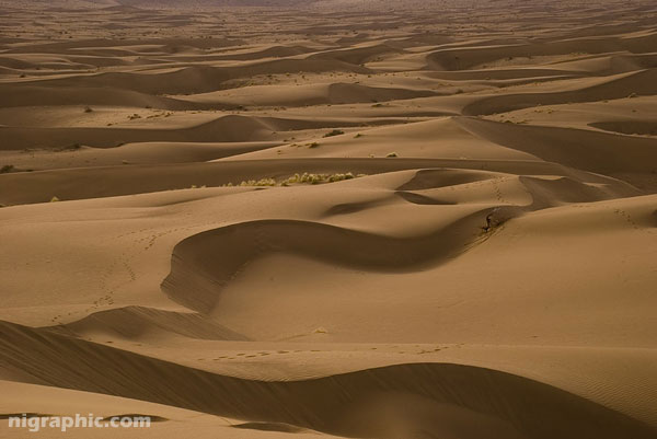 iran_desert_maranjab_1.jpg