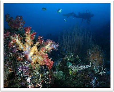 Rajaampat1.jpg