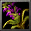 icons_938_btn.jpg