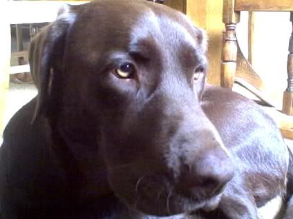 Apr022007-VID00001-4.jpg
