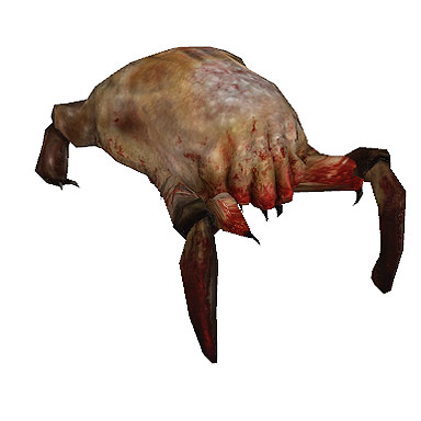 headcrab4tx.jpg