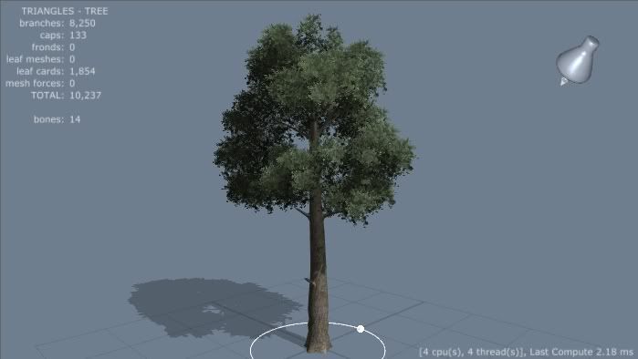 Tree1.jpg