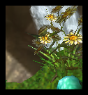 5a4LCwh.png
