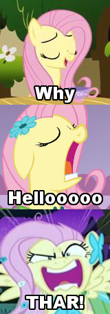 163097-albums1588-picture46234.png