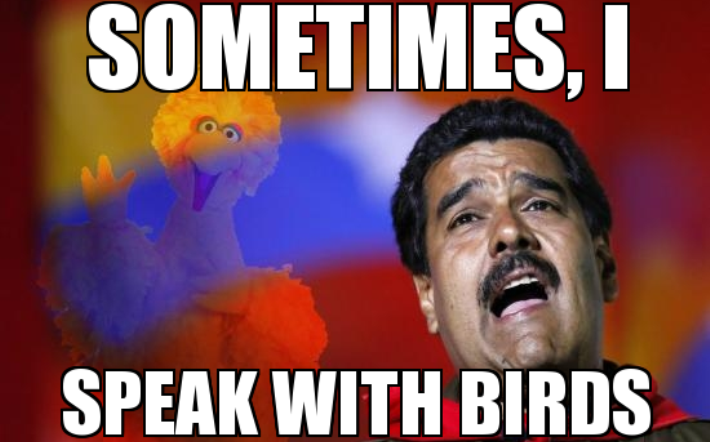 ft-meme-maduro-5.png