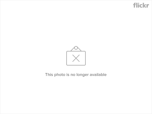 8654673350_a40759efec_b.jpg