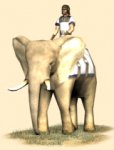 carthaginian_elephant_info.jpg