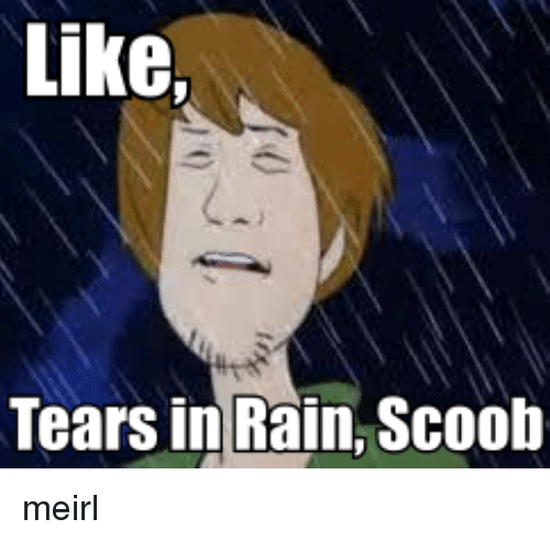 like-tears-in-rain-scoob-meirl-29710637.png