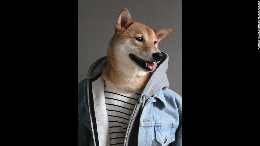 150601161820-07-menswear-dog-0601-super-169.jpg