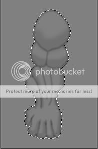 Tut_Image_6.jpg