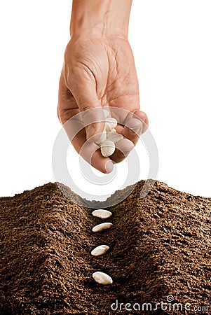 farmer-hand-seeding-thumb14784655.jpg