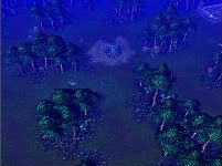 BattleRumbleScreenshot-1.jpg