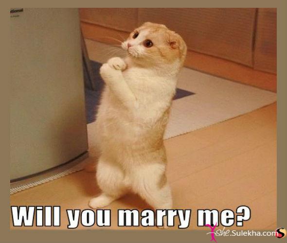 will-you-marry-me-2012-2-8-2-35-30.jpg