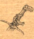 lilarcor.jpg