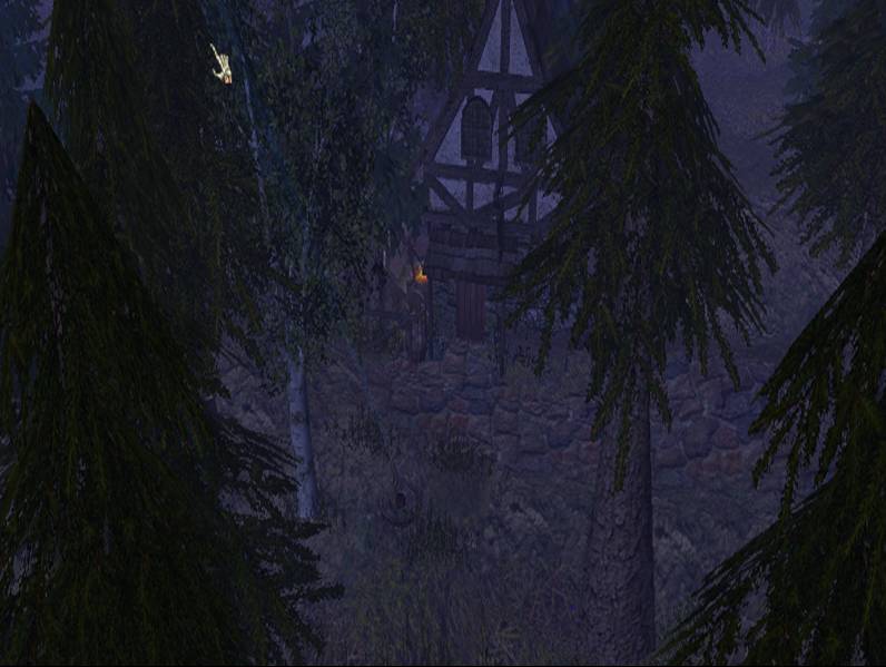 35533ForestHouse.jpg