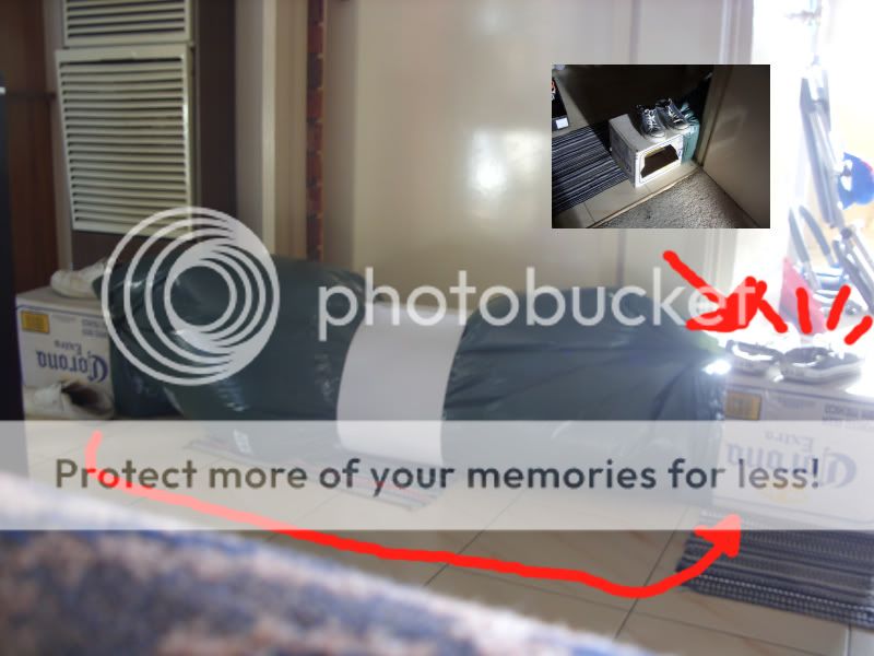 lolwhut.jpg