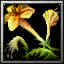 icons_939_btn.jpg