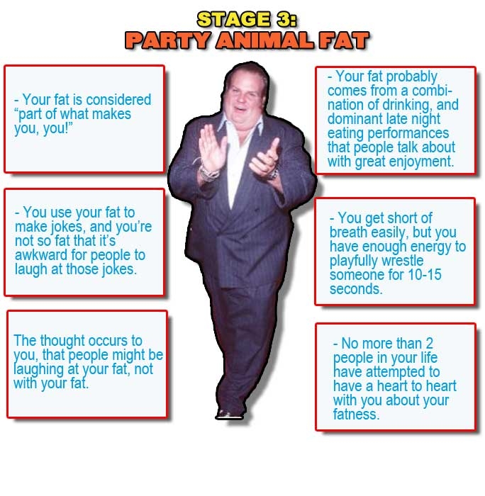 stage-3-fat.JPG