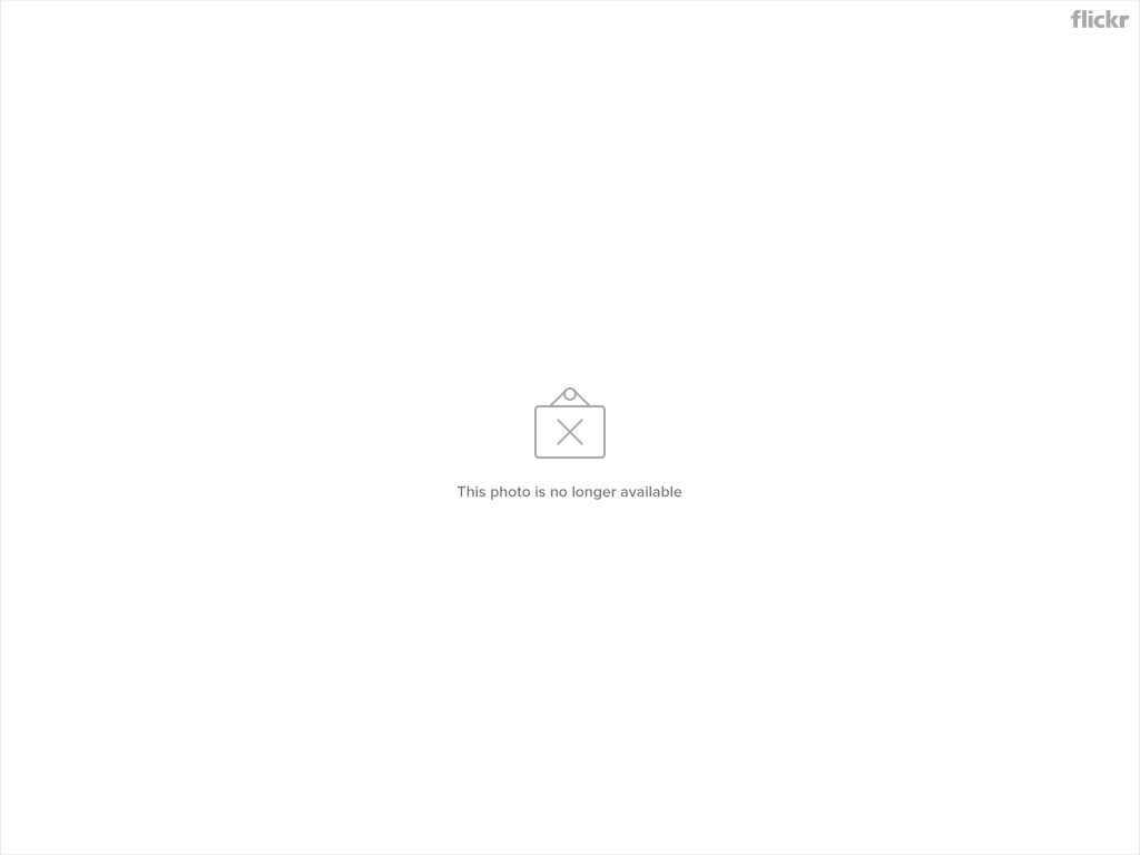 8653571131_8a6e9fba23_b.jpg