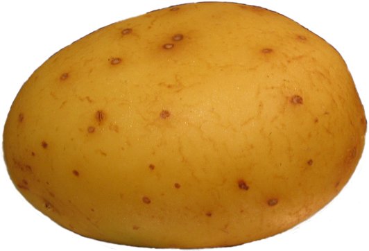 24534.jpg