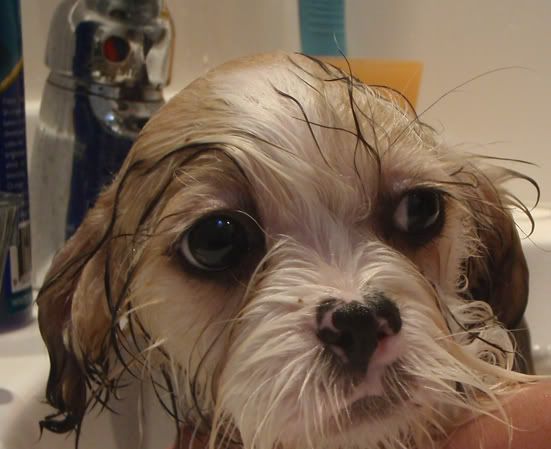 P7080991derp.jpg