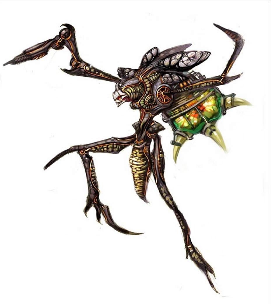 insect4s5u7l.jpg