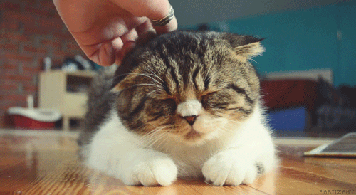 tumblr_me1usi3k3y1riahx7o1_500.gif