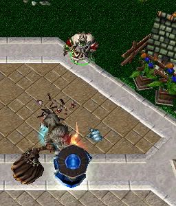 trainerfight1.jpg