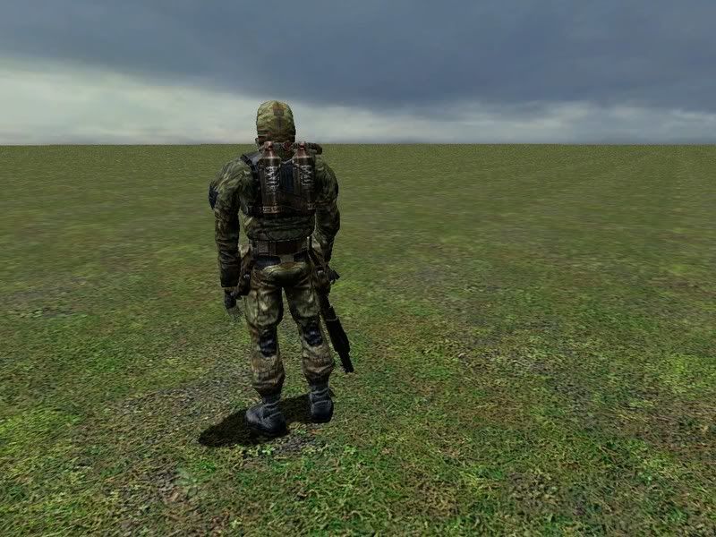 gm_flatgrass0025.jpg