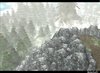 33183d1216068375-picture-forest-overview.jpg