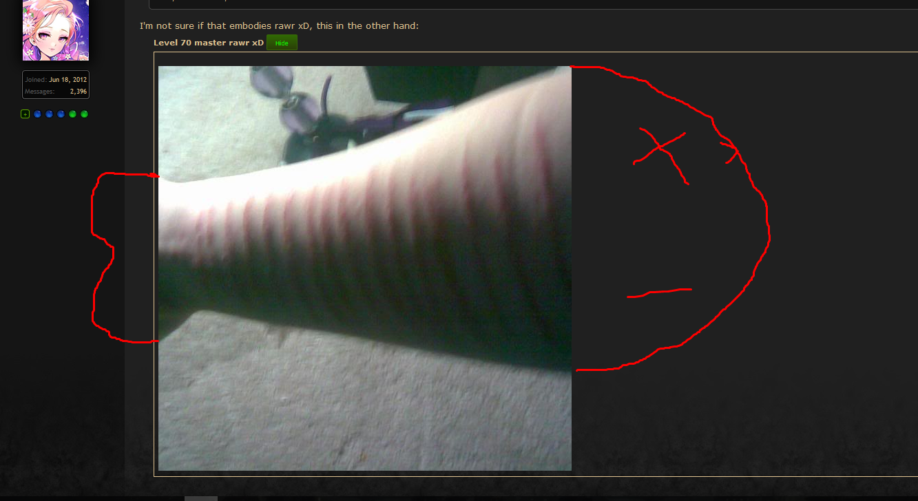 46a7fc8894b9484b84dc4a8ae4e5b69d.png