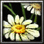 icons_1040_btn.jpg