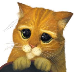 Puss___n_Boots_by_Koyuki_Shirai.jpg