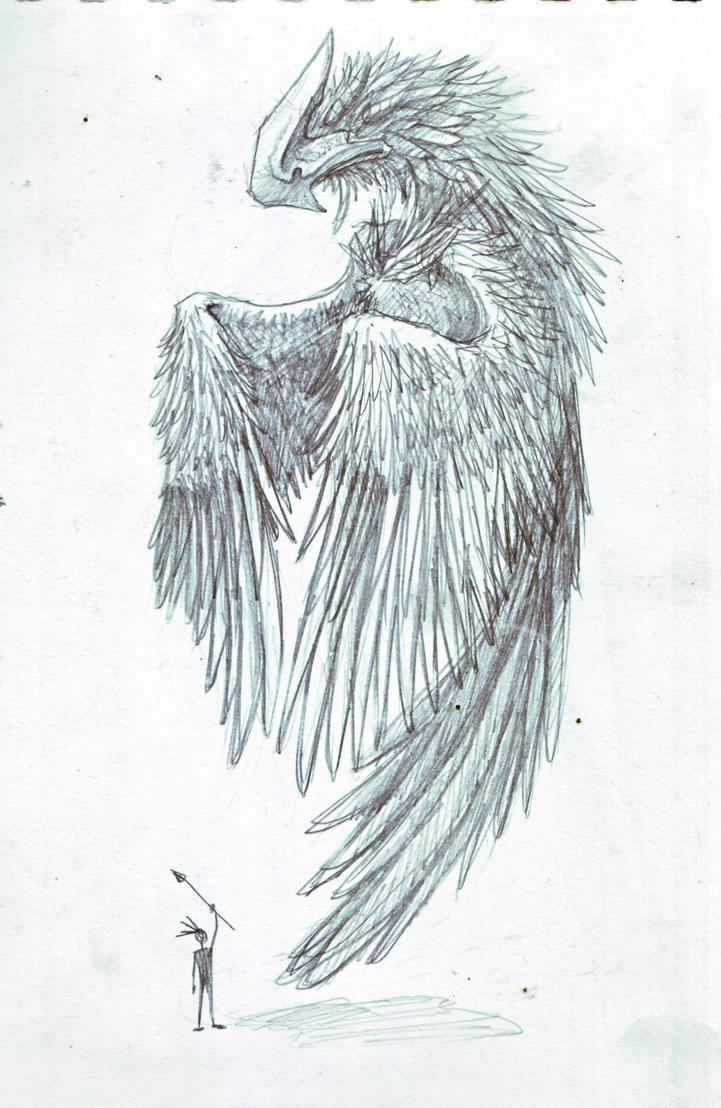 birdie___pencil_stage_by_dizzt-d4iivbm.jpg