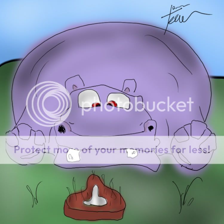 Hippo.jpg