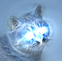 t0rs3ST.gif