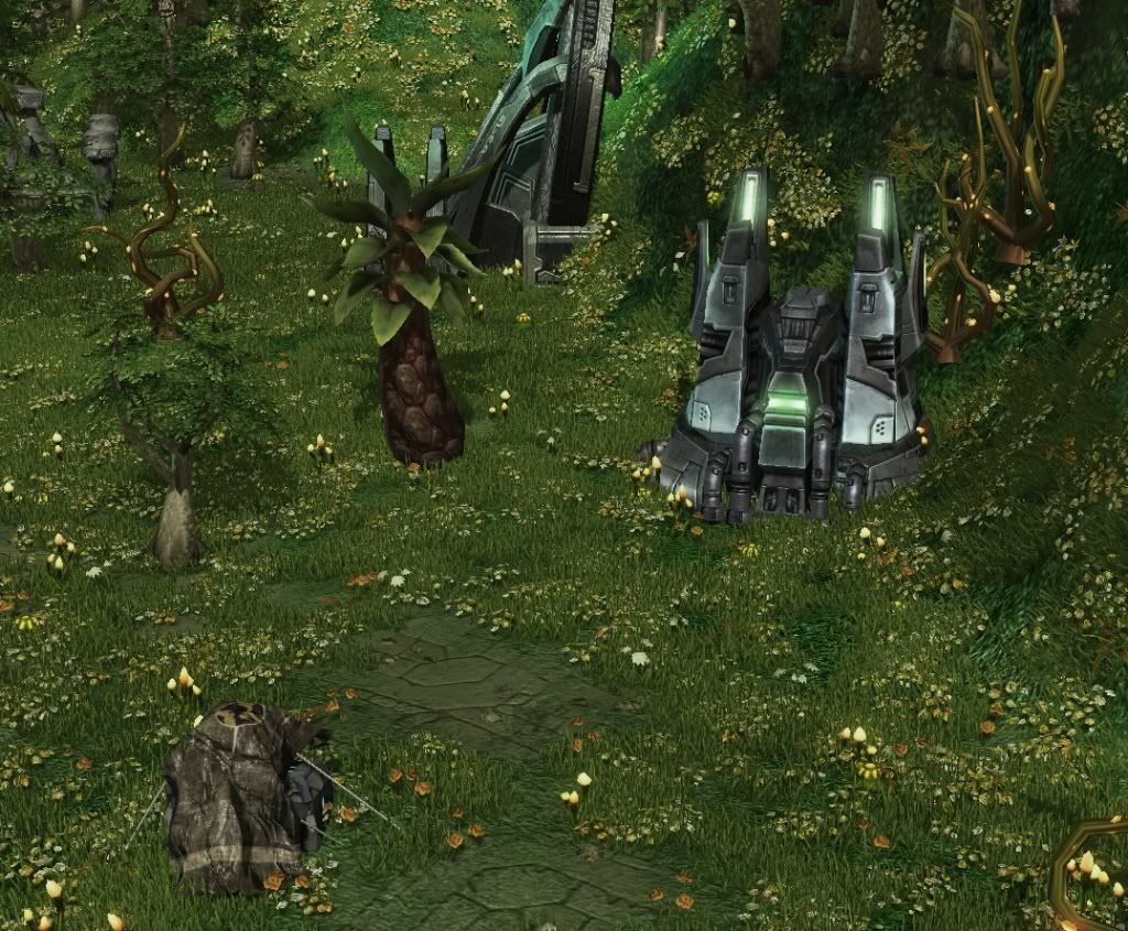 SC-Valley5.jpg