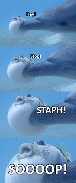 B73vgTo.jpg