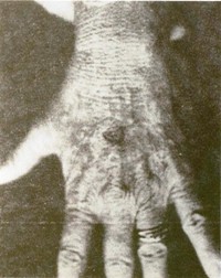 ufo-reports-108b.jpg