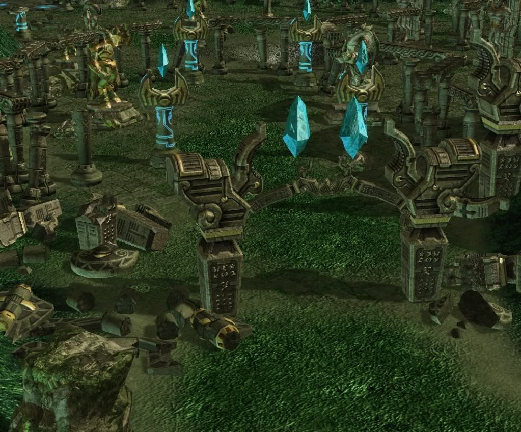 SC-Jungle16.jpg