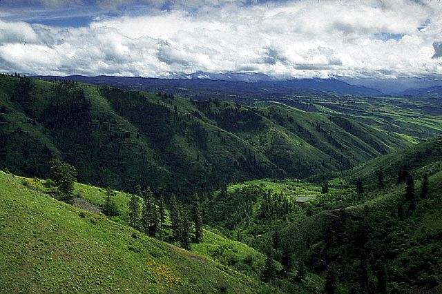 foothills.jpg