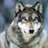 avatar175015_8.gif