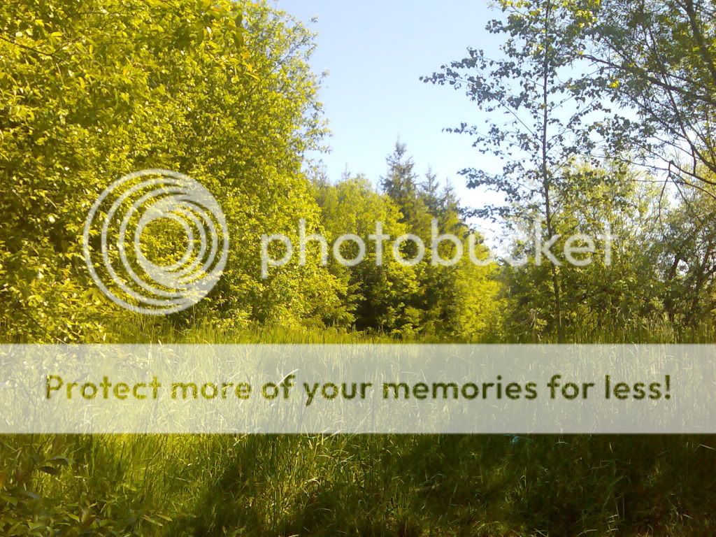 Bild005.jpg