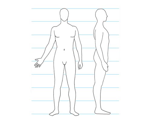 human-proportion2.jpeg