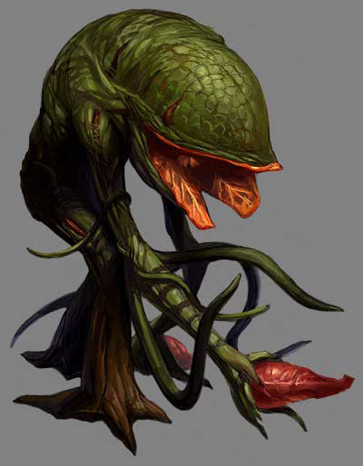 ivy.jpg